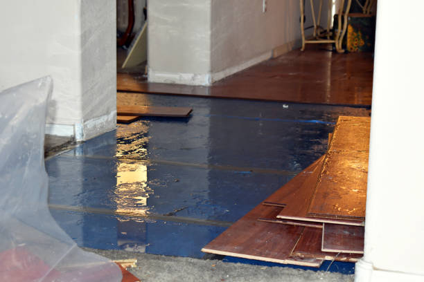 Professional Water Extraction technician working in Savoy, TX